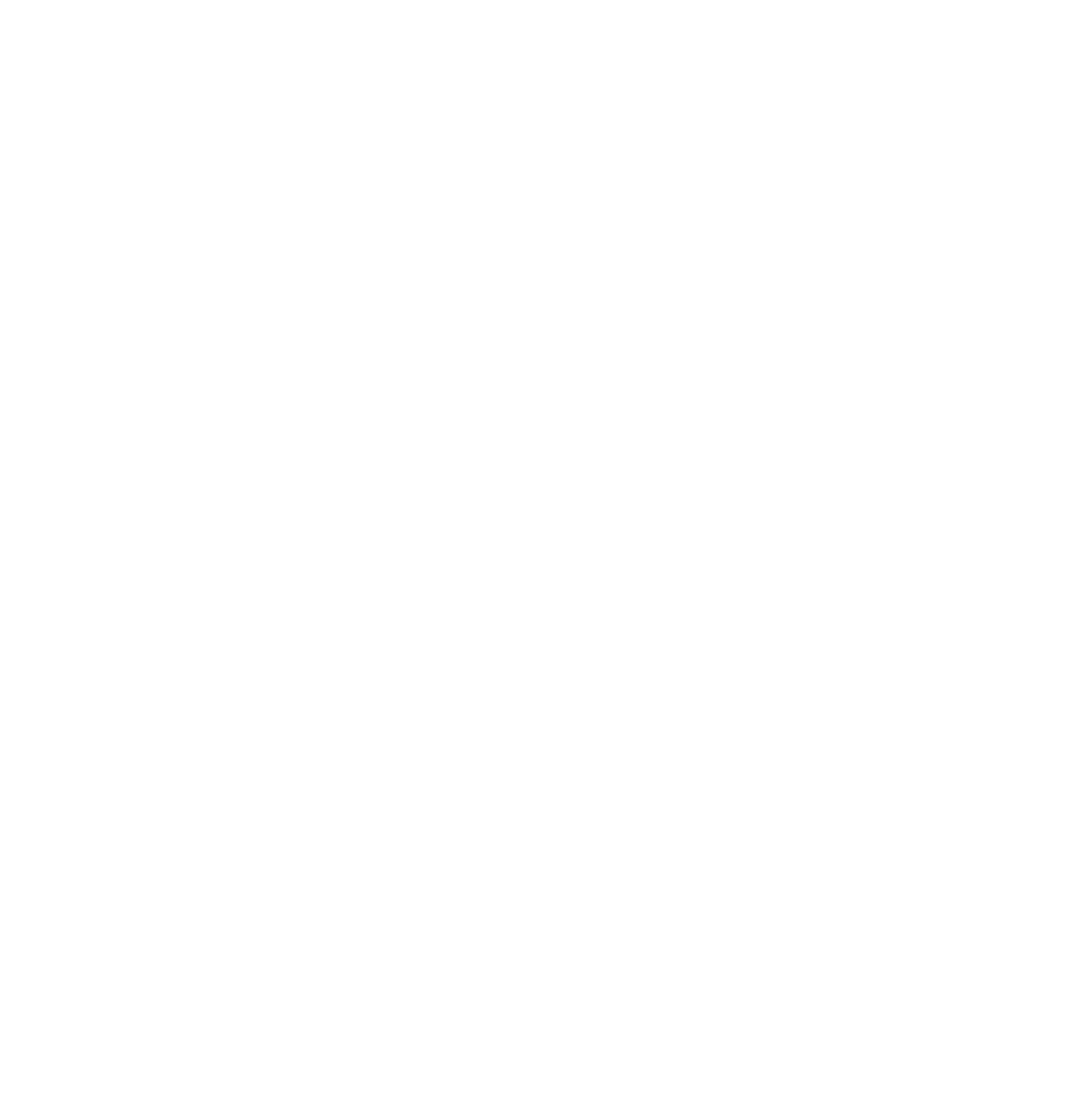 netsun logo